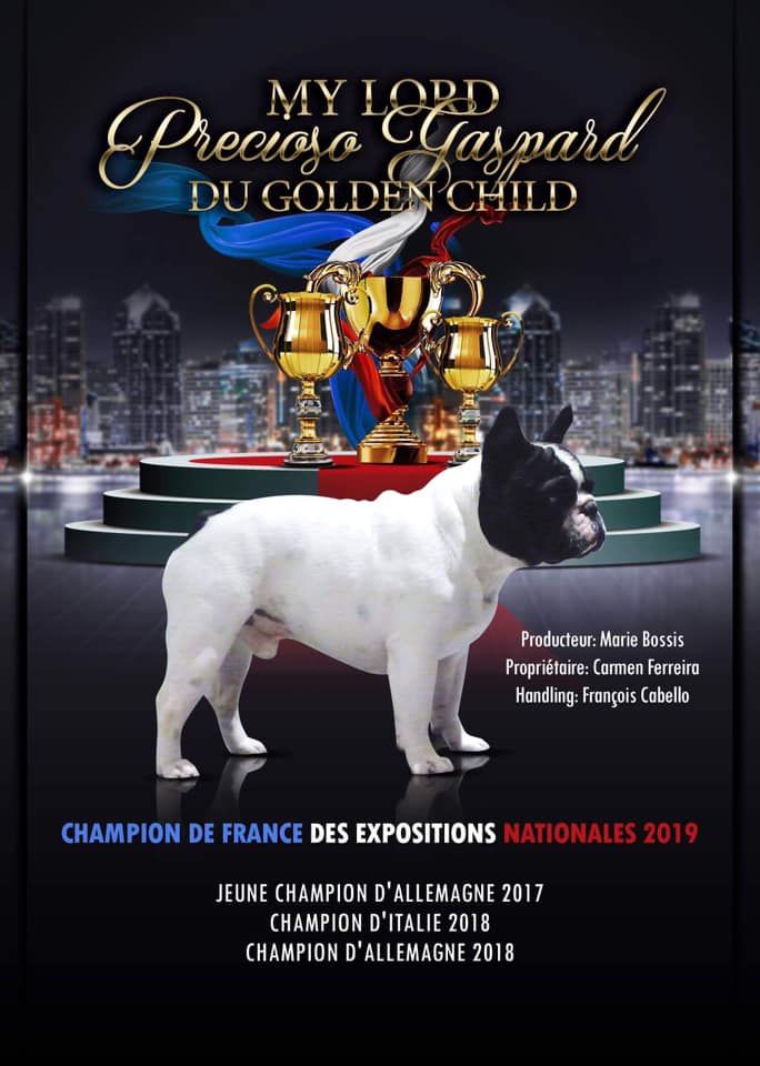 Du Manoir Mondain - NOUVEAU CHAMPION DE FRANCE DES EXPOSITIONS NATIONALES 2019