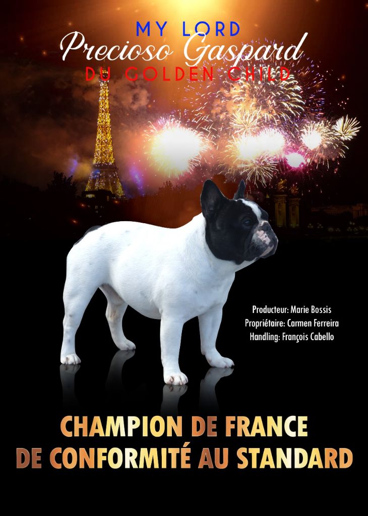 Du Manoir Mondain - NOUVEAU CHAMPION DE FRANCE 2019