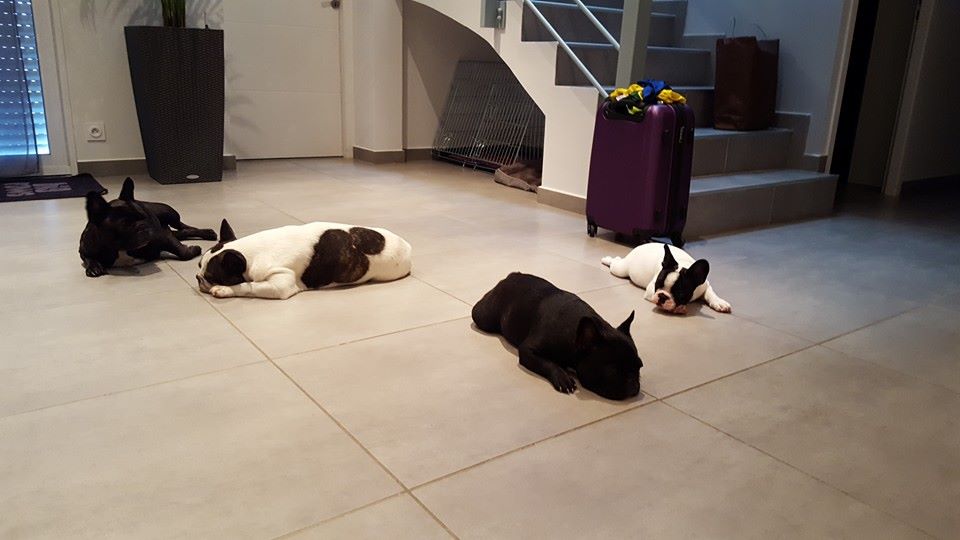 Du Manoir Mondain - Voilà comment vivent les petits monstres au Manoir Mondain!!!