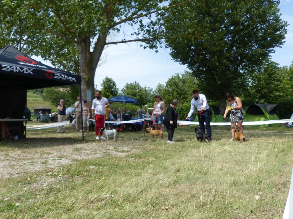 Du Manoir Mondain - CACS DE BRIVES CHARENSAC (43) 30 JUILLET 2017