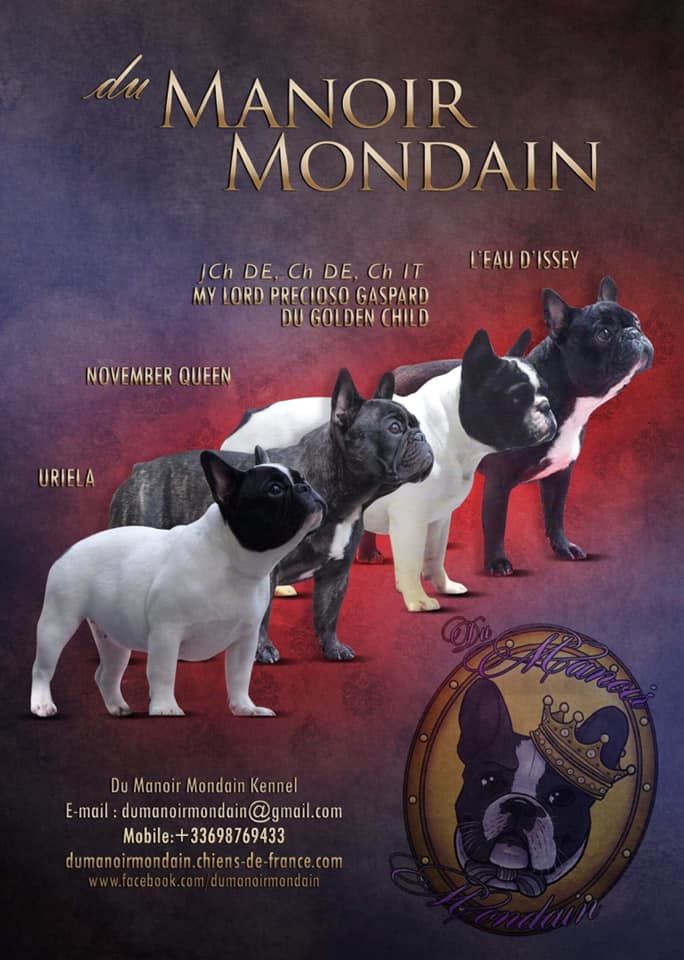Du Manoir Mondain - Bienvenu à tous