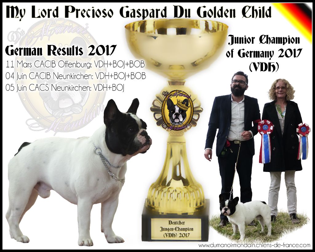 Du Manoir Mondain - Titre de Jeune Champion D'Allemagne VDH 2017